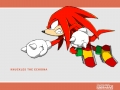 Knuckles #7