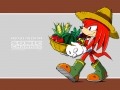 Knuckles #10