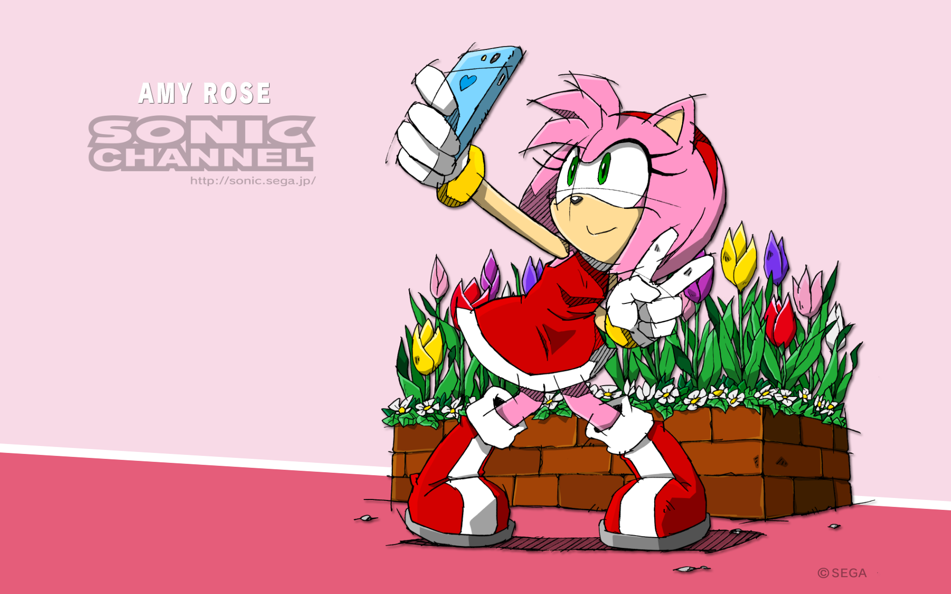 Wallpapers Sonic Channel Last Minute Continue