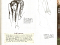 Complete Guide - p183