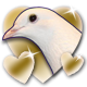 Steam - Badge 3