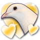 Steam - Badge 5