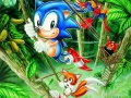 Sonic The Hedgehog 2 - Jungle Art