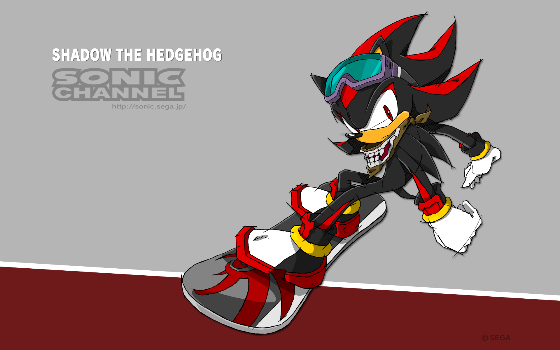 Shadow the hedgehog на пк. Ёж Шедоу. Ёж Шедоу и Соник. Соник и Шедоу. Шедоу из Соника.