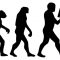 Evolution-des-wissens