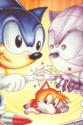 Sonic the Hedgehog Adventure Gamebook 3- Sonic vs Zonik