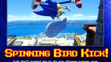 Demotivational 008 – Spinning Bird Kick